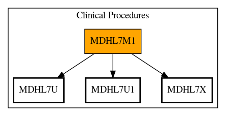 Call Graph