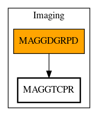 Call Graph